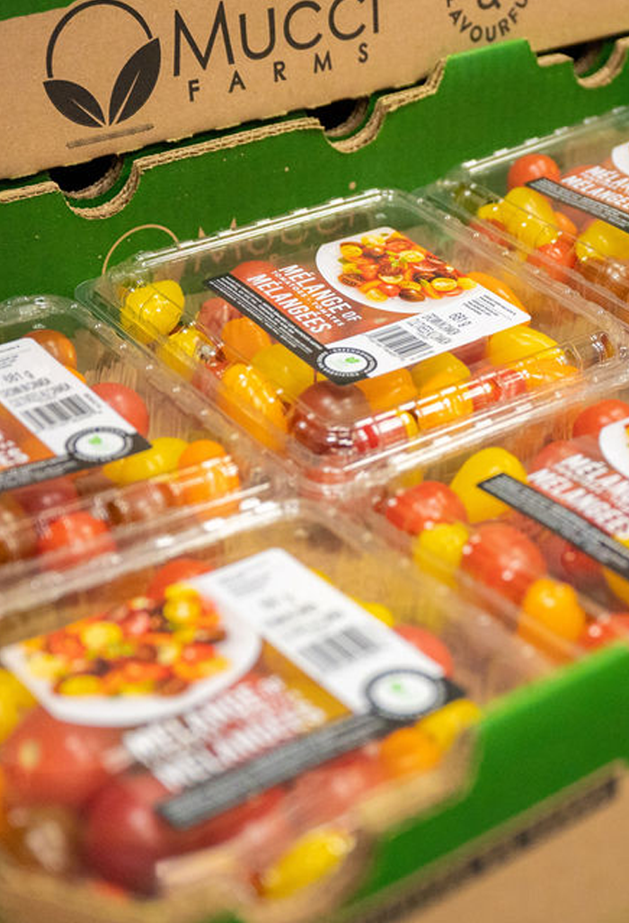 boîte tomates